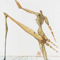 DALI "Bertram Dal Bornio", 1963 dali-bertram-dal-bornio-1963